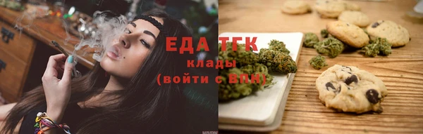 мдпв Дмитриев