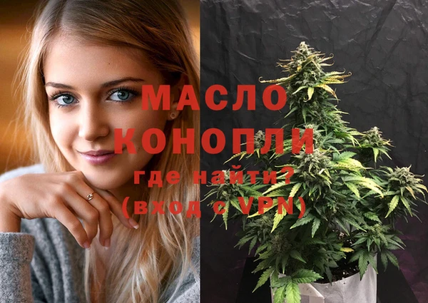 мдпв Дмитриев