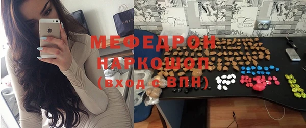 мдпв Дмитриев