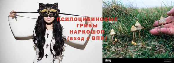 мдпв Дмитриев