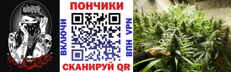 Канабис планчик Динская
